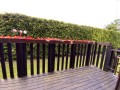 Fegans Court, Stony Stratford, Milton Keynes - Thumbnail 9