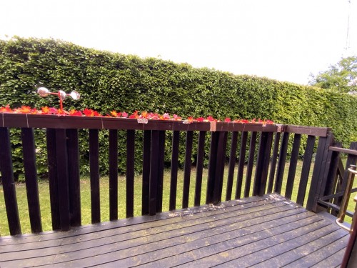 Fegans Court, Stony Stratford, Milton Keynes - Photo 9