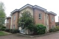 Front.JPG