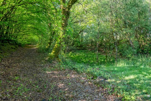 Dunsland Cross, Brandis Corner, Holsworthy - Photo 28
