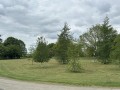 View out to the green