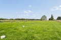 DSC03460-60db147e2d8cbb0cb72d77fdfc0c9a54.jpg