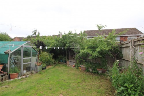 Garden.JPG Garden.JPG