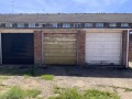 IMG_3467.jpeg