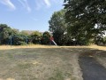 e61ca84f-c960-4a9d-8713-e1f9bd6fa332.jpg